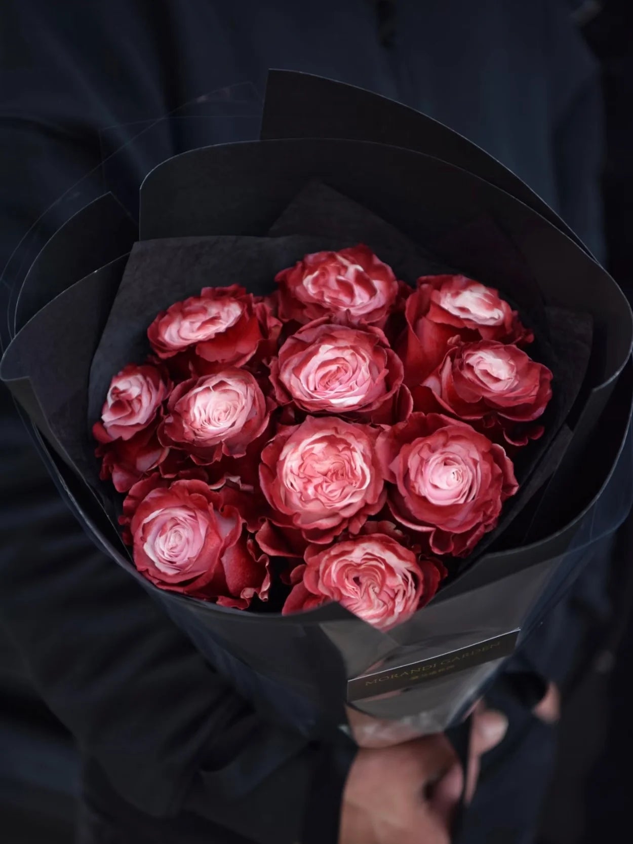 红酒玫瑰｜Red Wine Roses