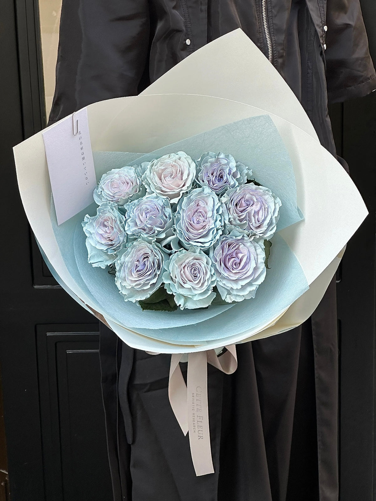 《蓝色沙子》玫瑰｜Blue Sand Roses