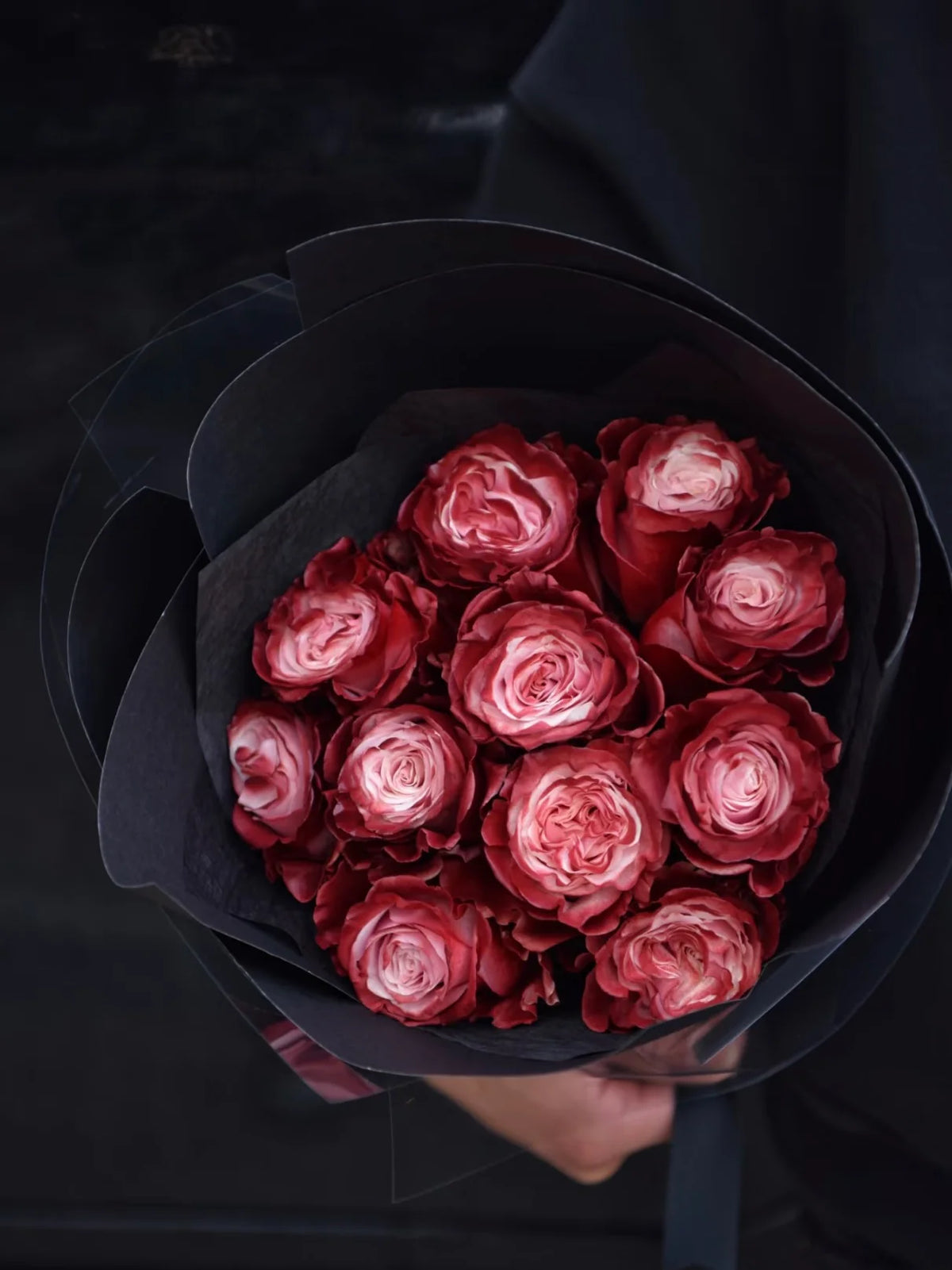 红酒玫瑰｜Red Wine Roses