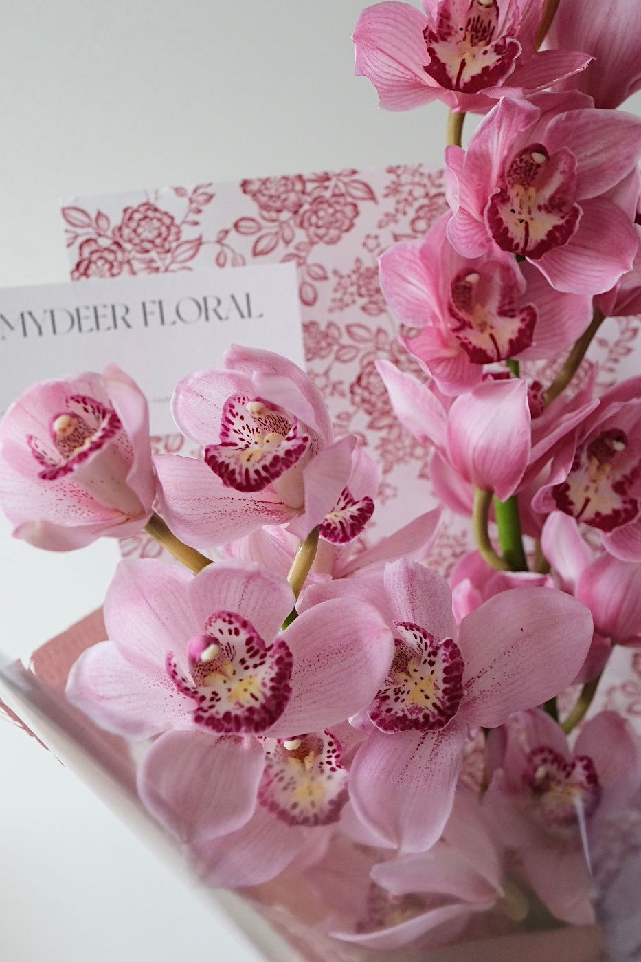 大花惠兰花束｜Cymbidium Bouquet