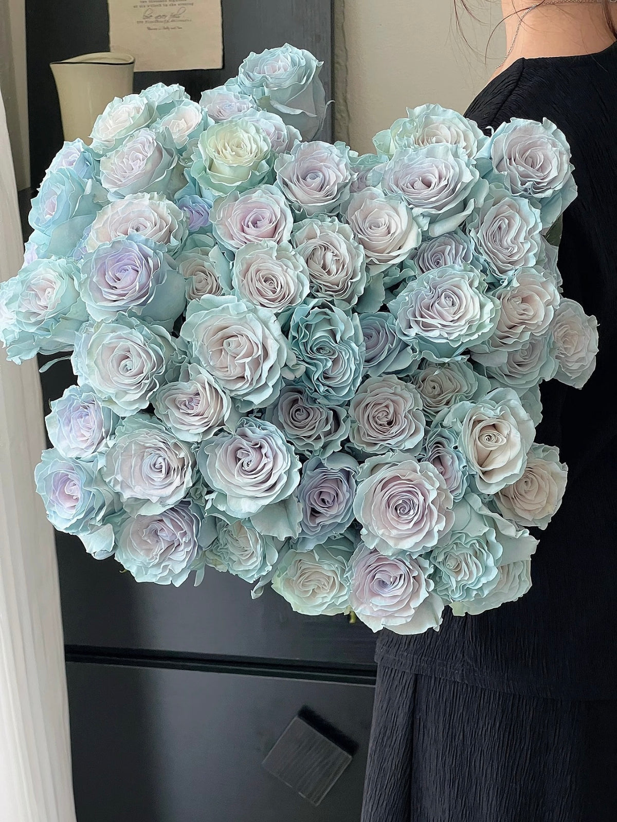 《蓝色沙子》玫瑰｜Blue Sand Roses