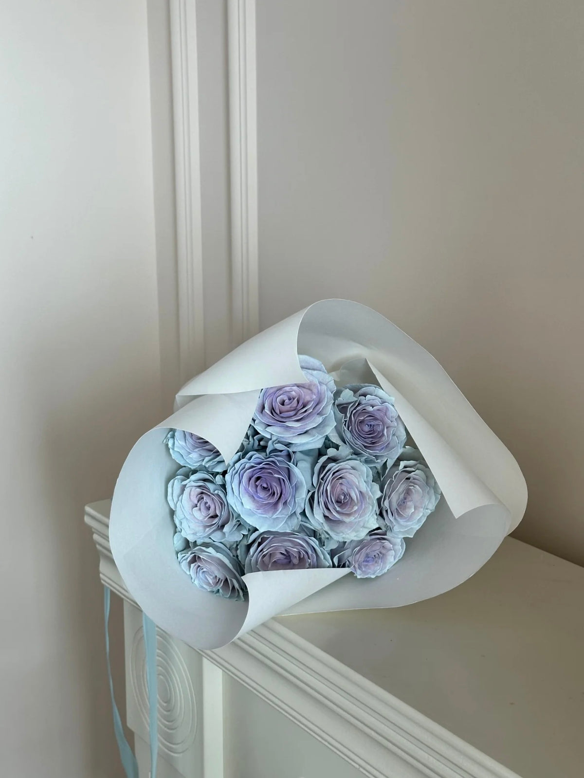 《蓝色沙子》玫瑰｜Blue Sand Roses