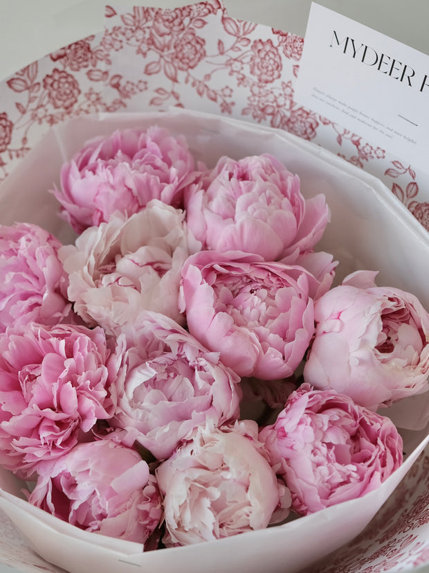 芍药花束｜Peonies Bouquet