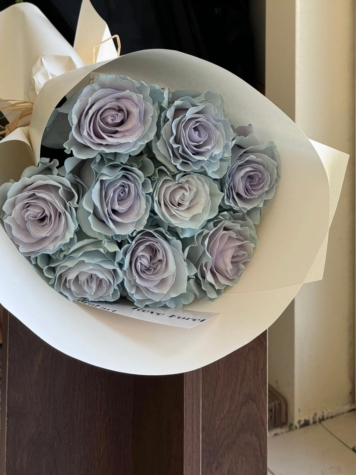 《蓝色沙子》玫瑰｜Blue Sand Roses