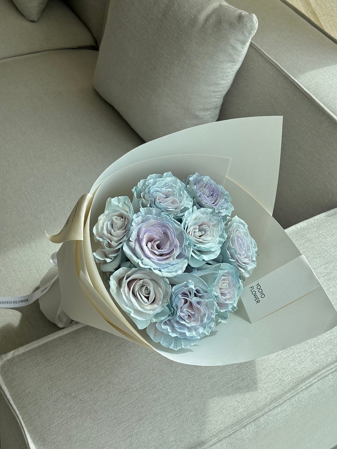 《蓝色沙子》玫瑰｜Blue Sand Roses