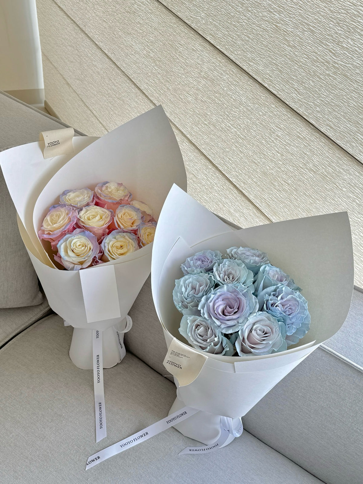 《蓝色沙子》玫瑰｜Blue Sand Roses