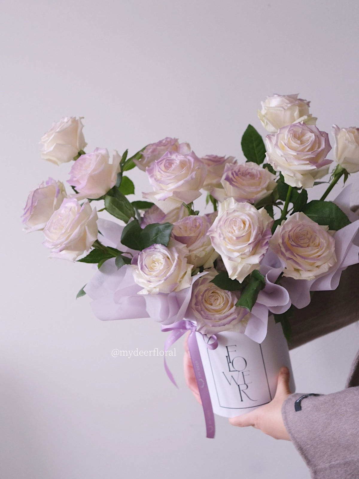 卡普里紫玫瑰｜Capri Rose