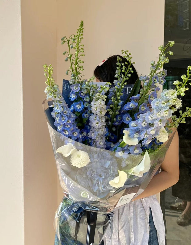 大飞燕花束 | Delphinium Bouquet