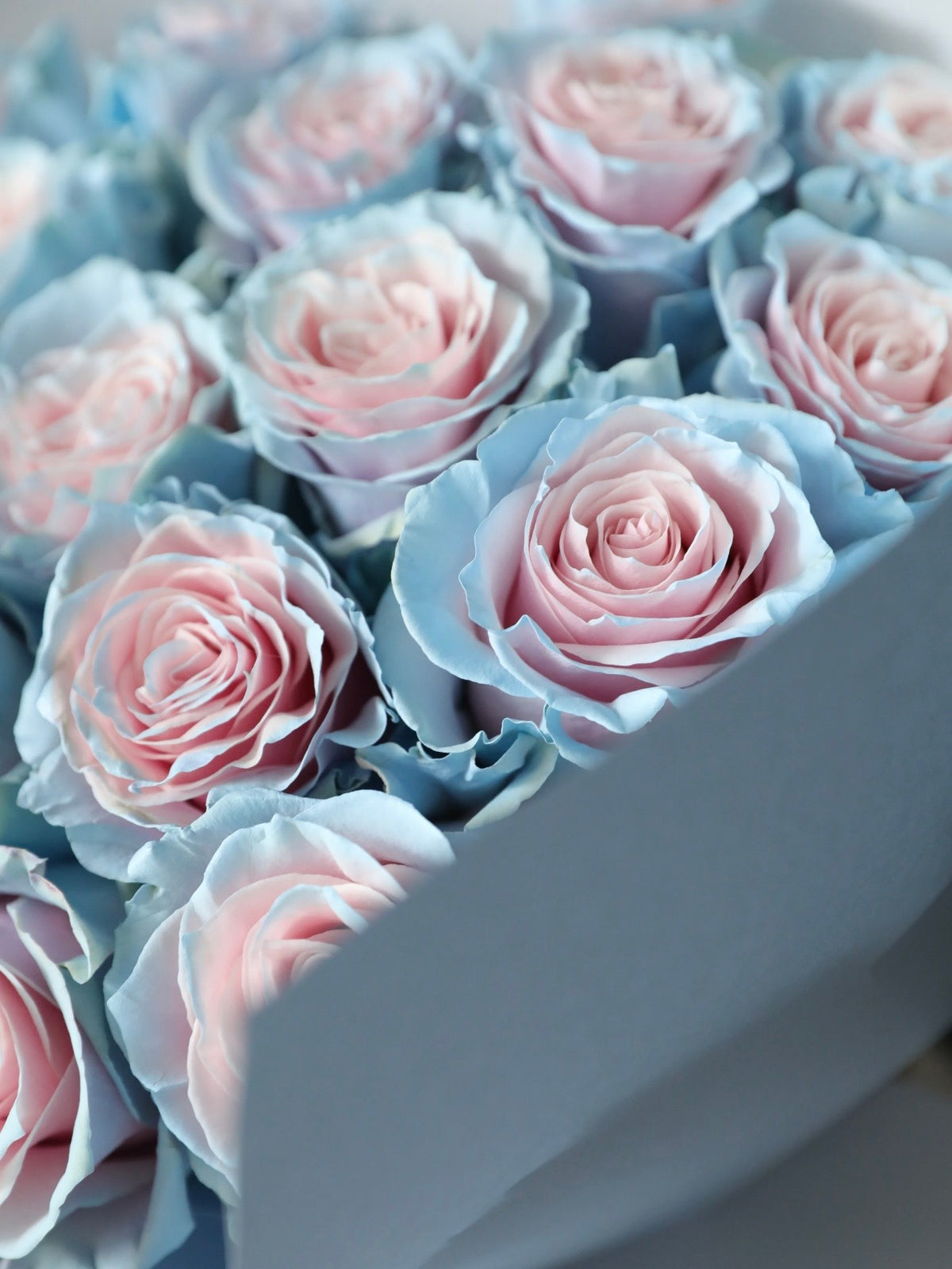 粉蓝宝贝玫瑰花束｜Baby Blue Rose Bouquet