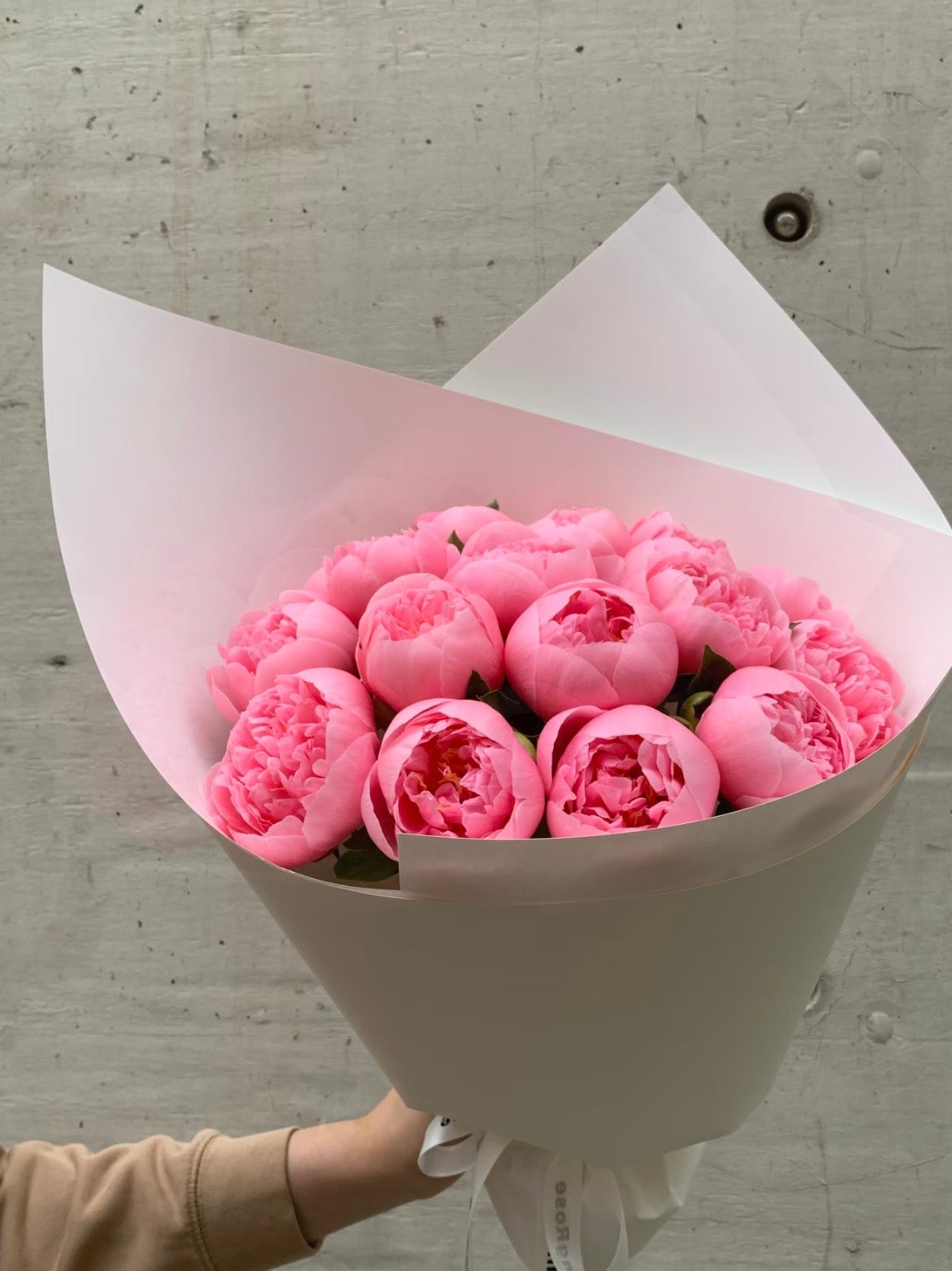 蚀刻鲑鱼芍药｜Salmon Peonies Bouquet