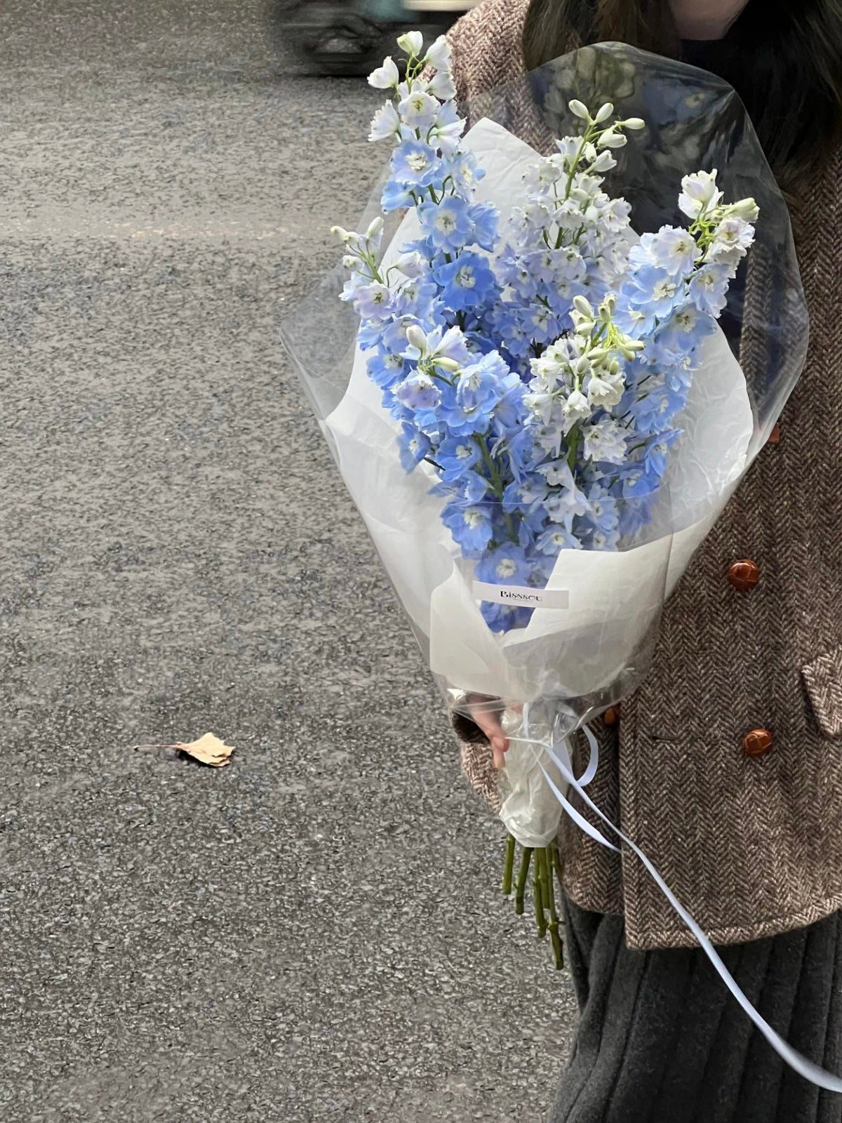 大飞燕花束 | Delphinium Bouquet