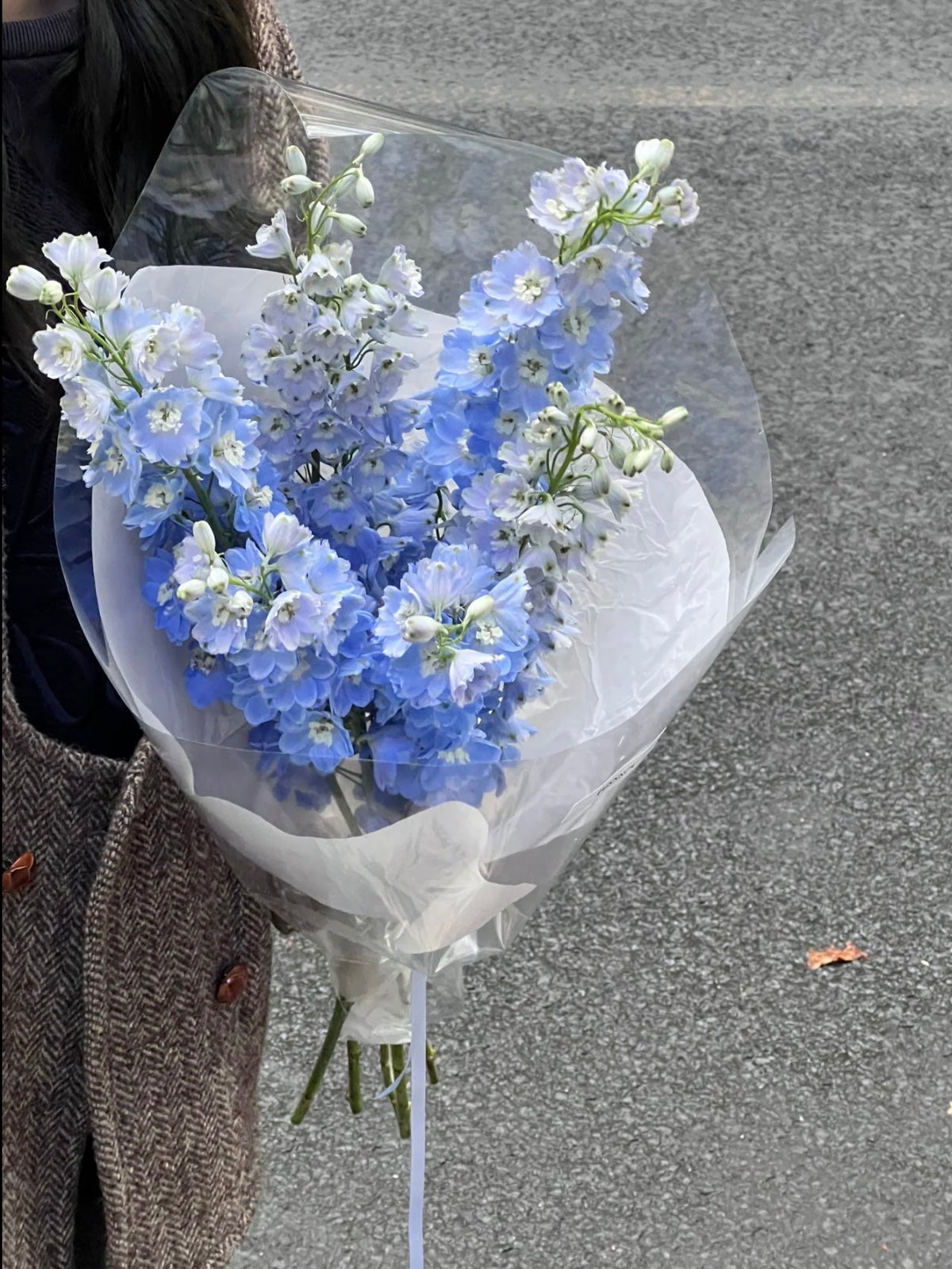 大飞燕花束 | Delphinium Bouquet