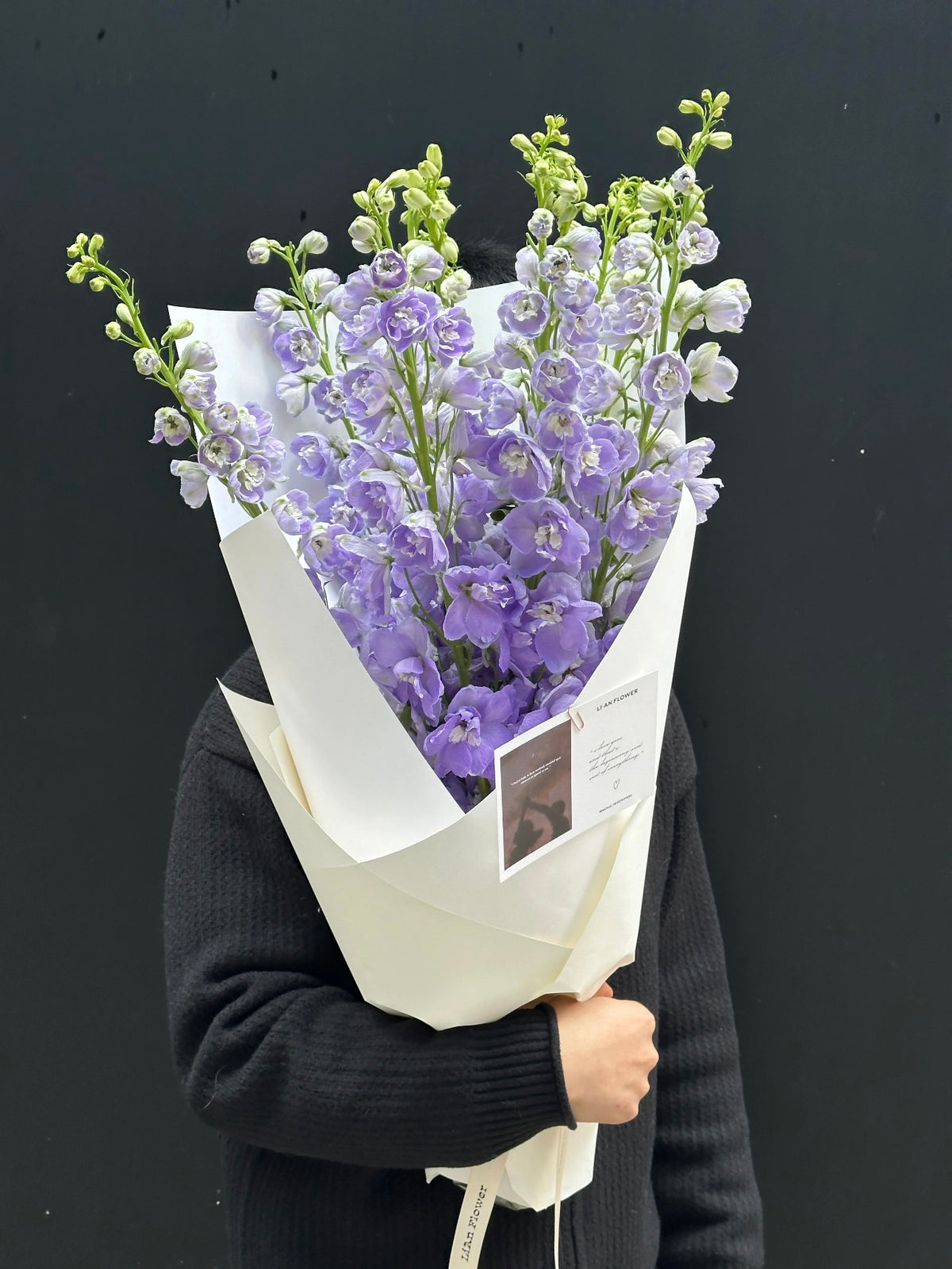 大飞燕花束 | Delphinium Bouquet
