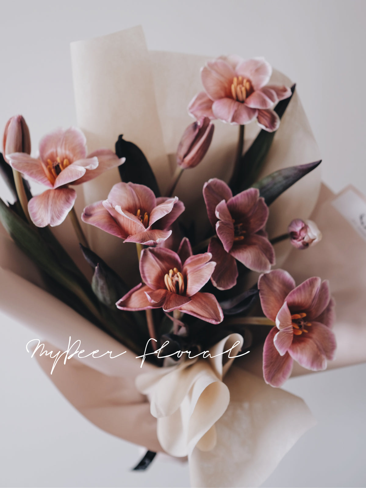 郁金香花束 | Tulips Bouquet