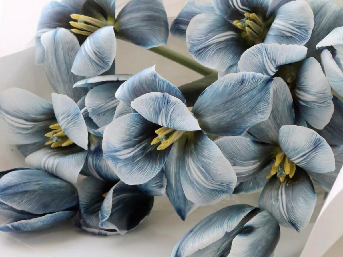 郁金香小花束 | Brownie Tulips Bouquet